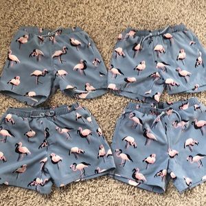 2t 3t 4t and 5t Flamingo swim trunks/shorts